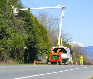 texas line clearing & tree trimming