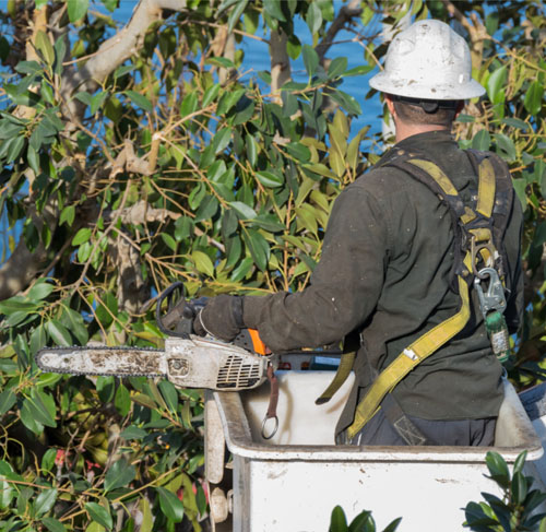 Preventative Maintenance and chemical vegetation management