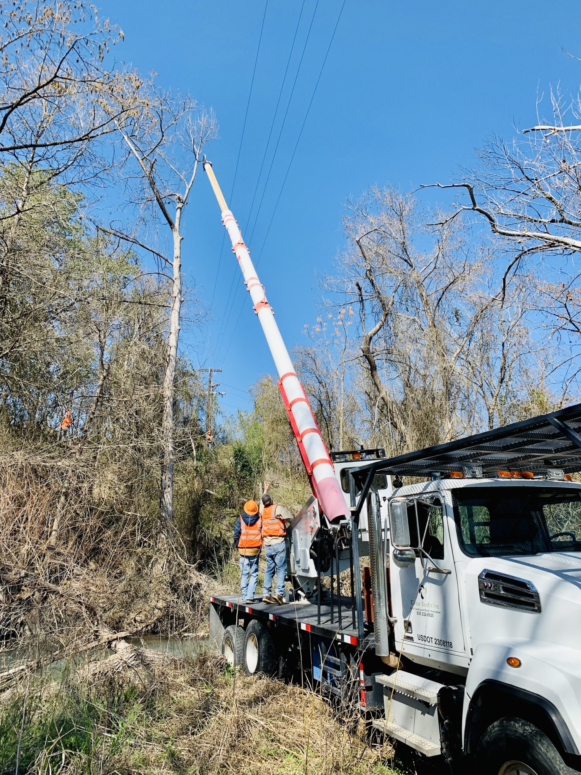 Texas natural disaster cleanup