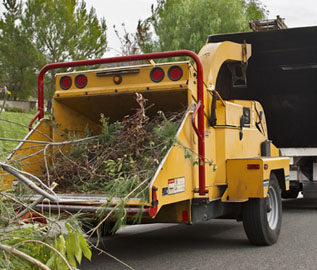 vegetation removal